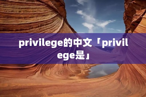privilege的中文「privilege是」 privilege的中文「privilege是」