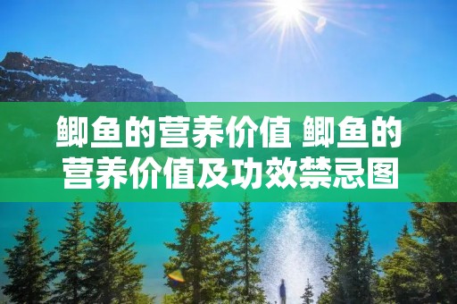 鲫鱼的营养价值 鲫鱼的营养价值及功效禁忌图片
