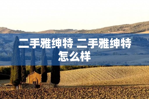 二手雅绅特 二手雅绅特怎么样 二手雅绅特 二手雅绅特怎么样