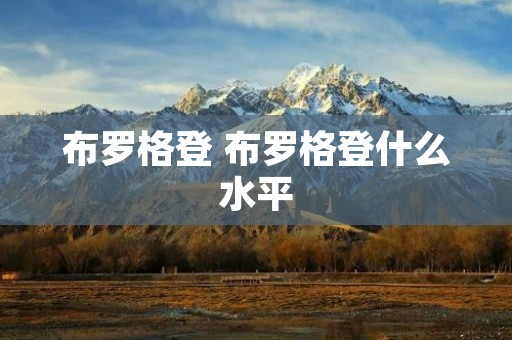 布罗格登 布罗格登什么水平