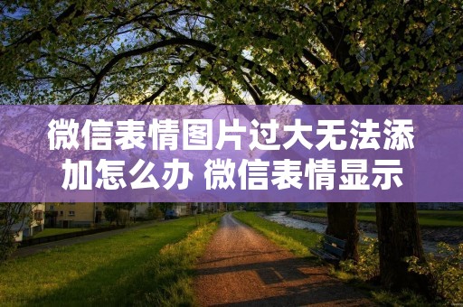 微信表情图片过大无法添加怎么办 微信表情显示图片太大无法添加 微信表情图片过大无法添加怎么办 微信表情显示图片太大无法添加