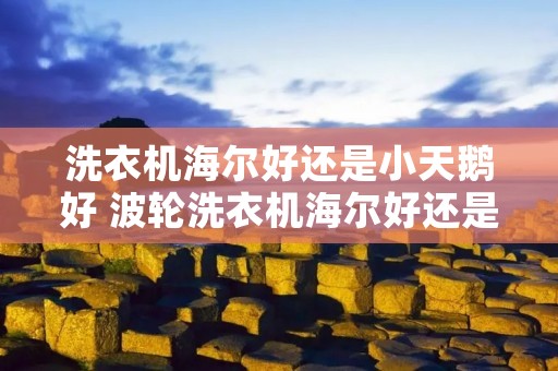 洗衣机海尔好还是小天鹅好 波轮洗衣机海尔好还是小天鹅好 洗衣机海尔好还是小天鹅好 波轮洗衣机海尔好还是小天鹅好