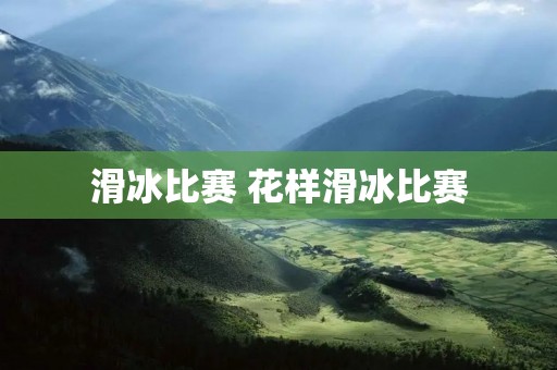 滑冰比赛 花样滑冰比赛