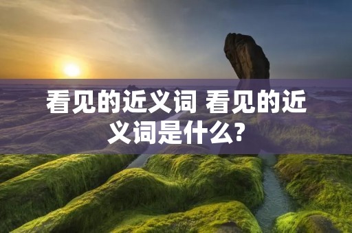看见的近义词 看见的近义词是什么?