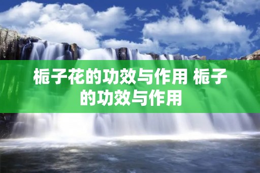 栀子花的功效与作用 栀子的功效与作用