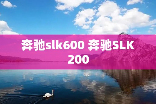 奔驰slk600 奔驰SLK200