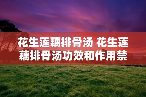 花生莲藕排骨汤 花生莲藕排骨汤功效和作用禁忌