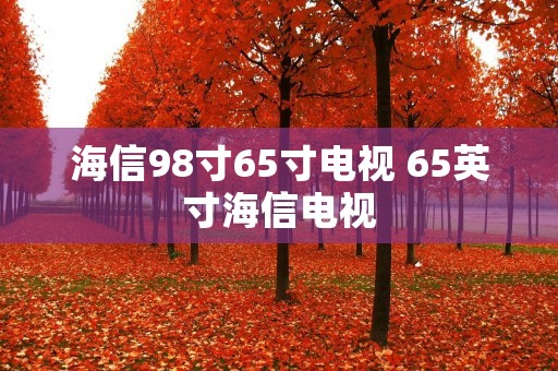 海信98寸65寸电视 65英寸海信电视