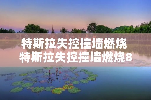 特斯拉失控撞墙燃烧 特斯拉失控撞墙燃烧8