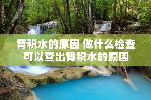 肾积水的原因 做什么检查可以查出肾积水的原因 肾积水的原因 做什么检查可以查出肾积水的原因