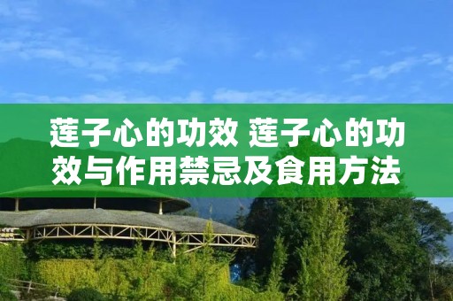 莲子心的功效 莲子心的功效与作用禁忌及食用方法 莲子心的功效 莲子心的功效与作用禁忌及食用方法