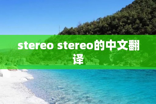 stereo stereo的中文翻译