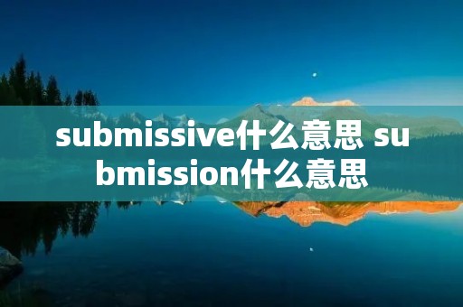 submissive什么意思 submission什么意思