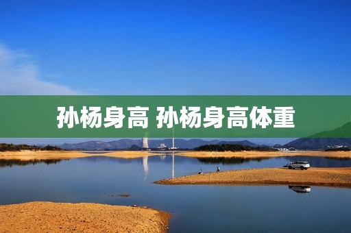 孙杨身高 孙杨身高体重