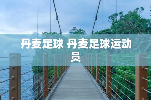 丹麦足球 丹麦足球运动员