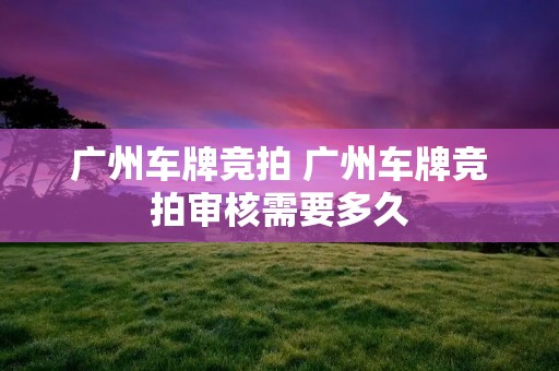 广州车牌竞拍 广州车牌竞拍审核需要多久 广州车牌竞拍 广州车牌竞拍审核需要多久