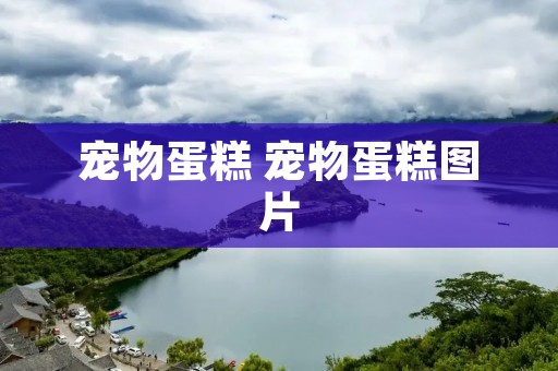 宠物蛋糕 宠物蛋糕图片 宠物蛋糕 宠物蛋糕图片