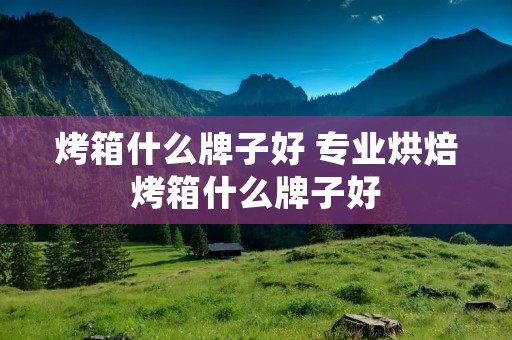 烤箱什么牌子好 专业烘焙烤箱什么牌子好 烤箱什么牌子好 专业烘焙烤箱什么牌子好
