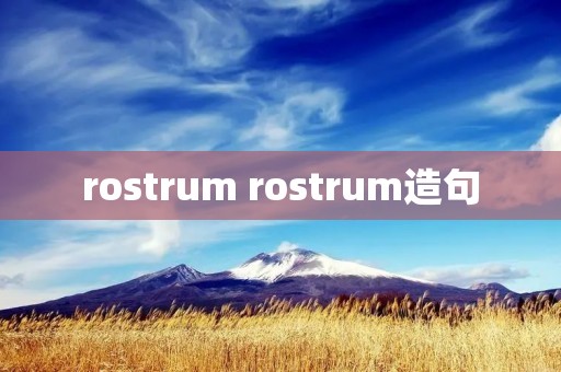 rostrum rostrum造句 rostrum rostrum造句