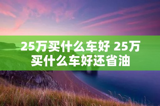 25万买什么车好 25万买什么车好还省油