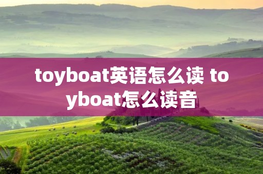 toyboat英语怎么读 toyboat怎么读音