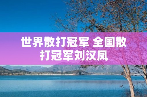 世界散打冠军 全国散打冠军刘汉凤