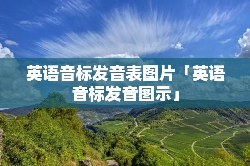 英语音标发音表图片「英语音标发音图示」