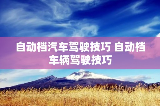 自动档汽车驾驶技巧 自动档车辆驾驶技巧 自动档汽车驾驶技巧 自动档车辆驾驶技巧