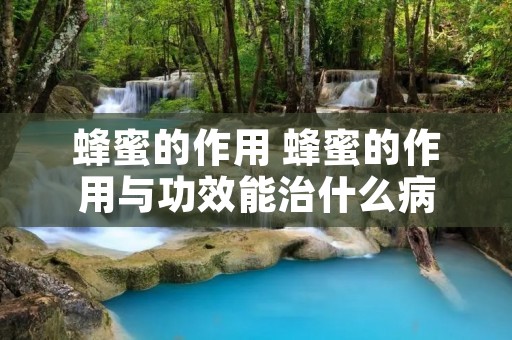 蜂蜜的作用 蜂蜜的作用与功效能治什么病