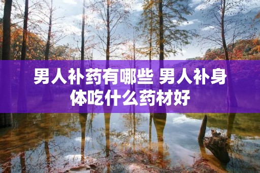 男人补药有哪些 男人补身体吃什么药材好 男人补药有哪些 男人补身体吃什么药材好