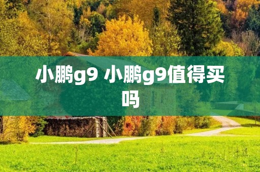 小鹏g9 小鹏g9值得买吗