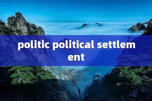 politic political settlement