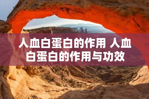 人血白蛋白的作用 人血白蛋白的作用与功效