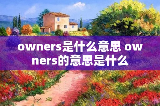 owners是什么意思 owners的意思是什么 owners是什么意思 owners的意思是什么