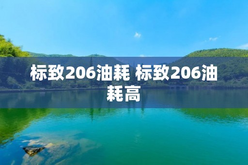 标致206油耗 标致206油耗高 标致206油耗 标致206油耗高