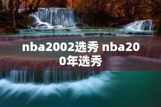nba2002选秀 nba200年选秀