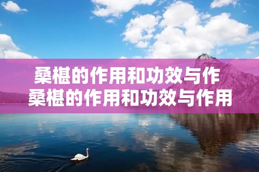 桑椹的作用和功效与作 桑椹的作用和功效与作用及禁忌