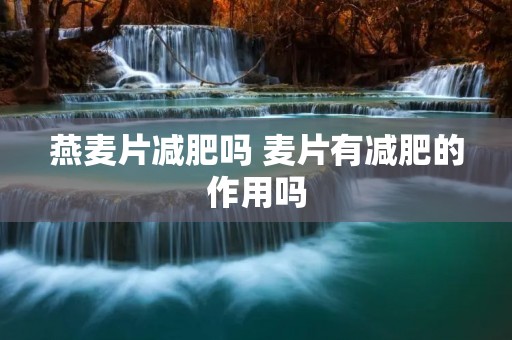 燕麦片减肥吗 麦片有减肥的作用吗