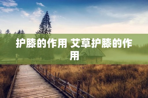 护膝的作用 艾草护膝的作用