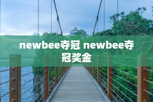 newbee夺冠 newbee夺冠奖金