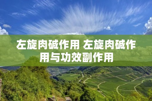 左旋肉碱作用 左旋肉碱作用与功效副作用 左旋肉碱作用 左旋肉碱作用与功效副作用