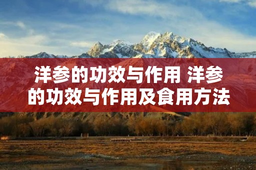 洋参的功效与作用 洋参的功效与作用及食用方法 洋参的功效与作用 洋参的功效与作用及食用方法