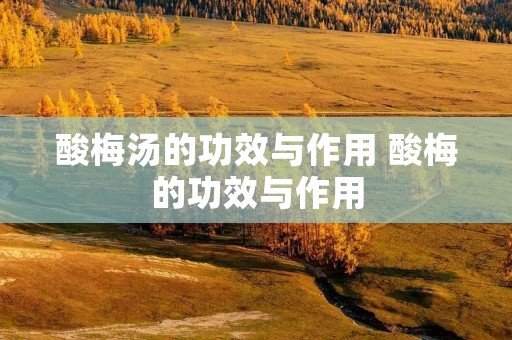酸梅汤的功效与作用 酸梅的功效与作用