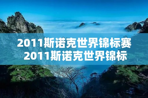 2011斯诺克世界锦标赛 2011斯诺克世界锦标赛播单视频