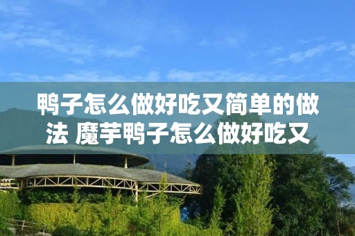 鸭子怎么做好吃又简单的做法 魔芋鸭子怎么做好吃又简单的做法