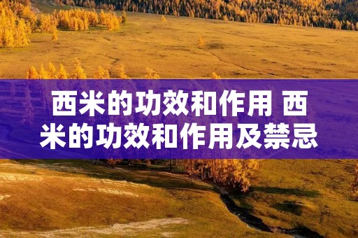 西米的功效和作用 西米的功效和作用及禁忌