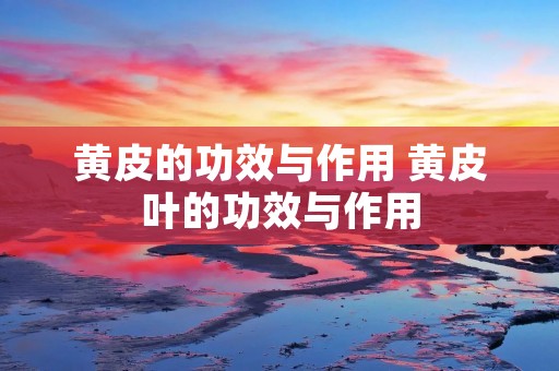 黄皮的功效与作用 黄皮叶的功效与作用