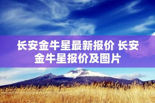长安金牛星最新报价 长安金牛星报价及图片 长安金牛星最新报价 长安金牛星报价及图片
