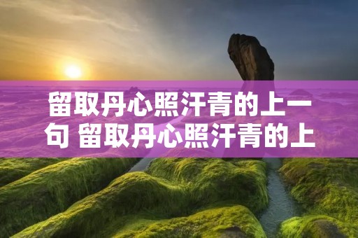留取丹心照汗青的上一句 留取丹心照汗青的上一句是什么意思
