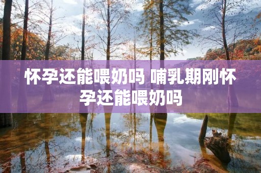 怀孕还能喂奶吗 哺乳期刚怀孕还能喂奶吗 怀孕还能喂奶吗 哺乳期刚怀孕还能喂奶吗